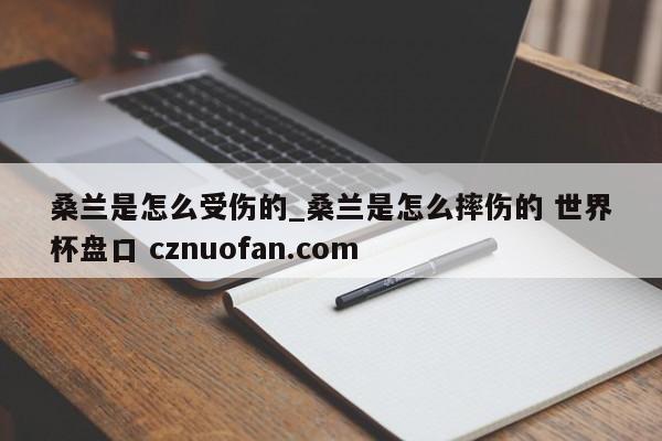 桑兰是怎么受伤的_桑兰是怎么摔伤的 世界杯盘口 cznuofan.com